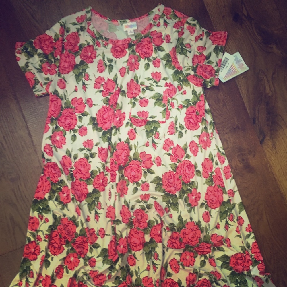 Woman’s LuLaRoe Carly dress with rare pattern